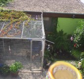 Tuin voor aanpak