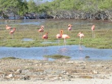 2003 Bonaire 07