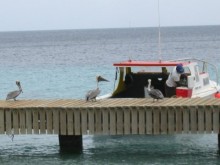 2003 Bonaire 08