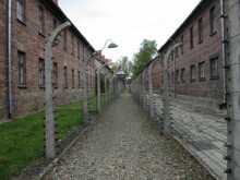 2004 Auschwitz 02