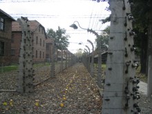 2004 Auschwitz 08