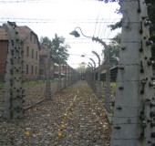 2004 Auschwitz 08