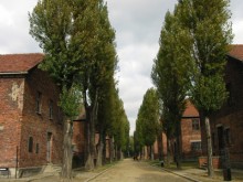 2004 Auschwitz 15