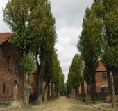 2004 Auschwitz 15