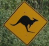 2005 Australie 15