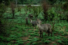 2005 Zuid Afrika 04