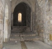 2007 Israel 24