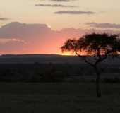2007 Kenia 05