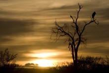 2007 Kenia 06
