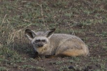 2007 Kenia 17