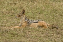 2007 Kenia 21